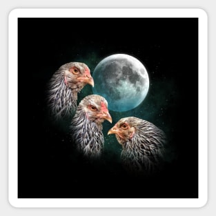 Three Chicken Moon (Dark Brahma) Sticker